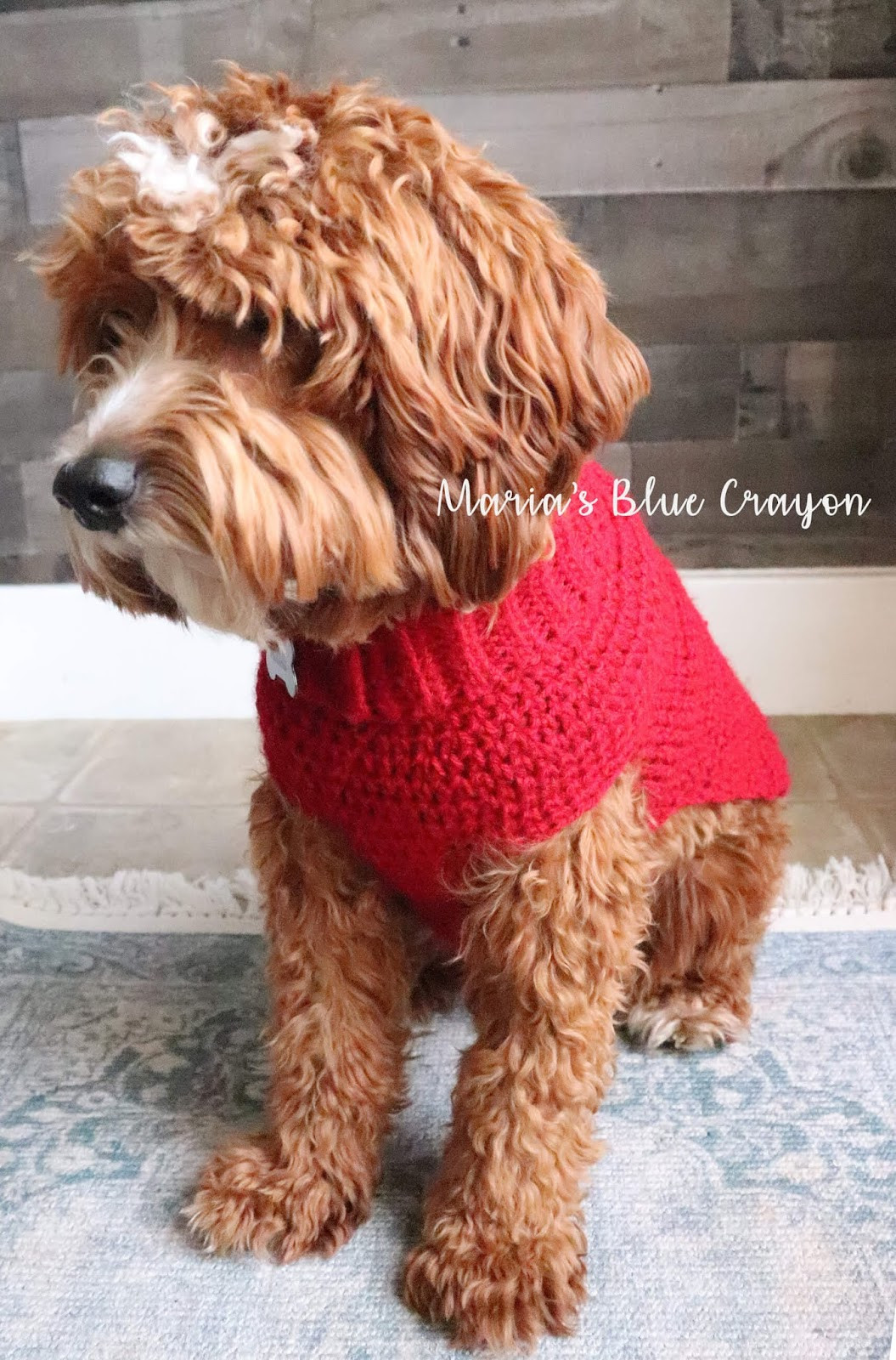 Crochet Dog Jumper Beautiful Crochet Basic Dog Sweater Free Step by Step Tutorial Maria S Blue