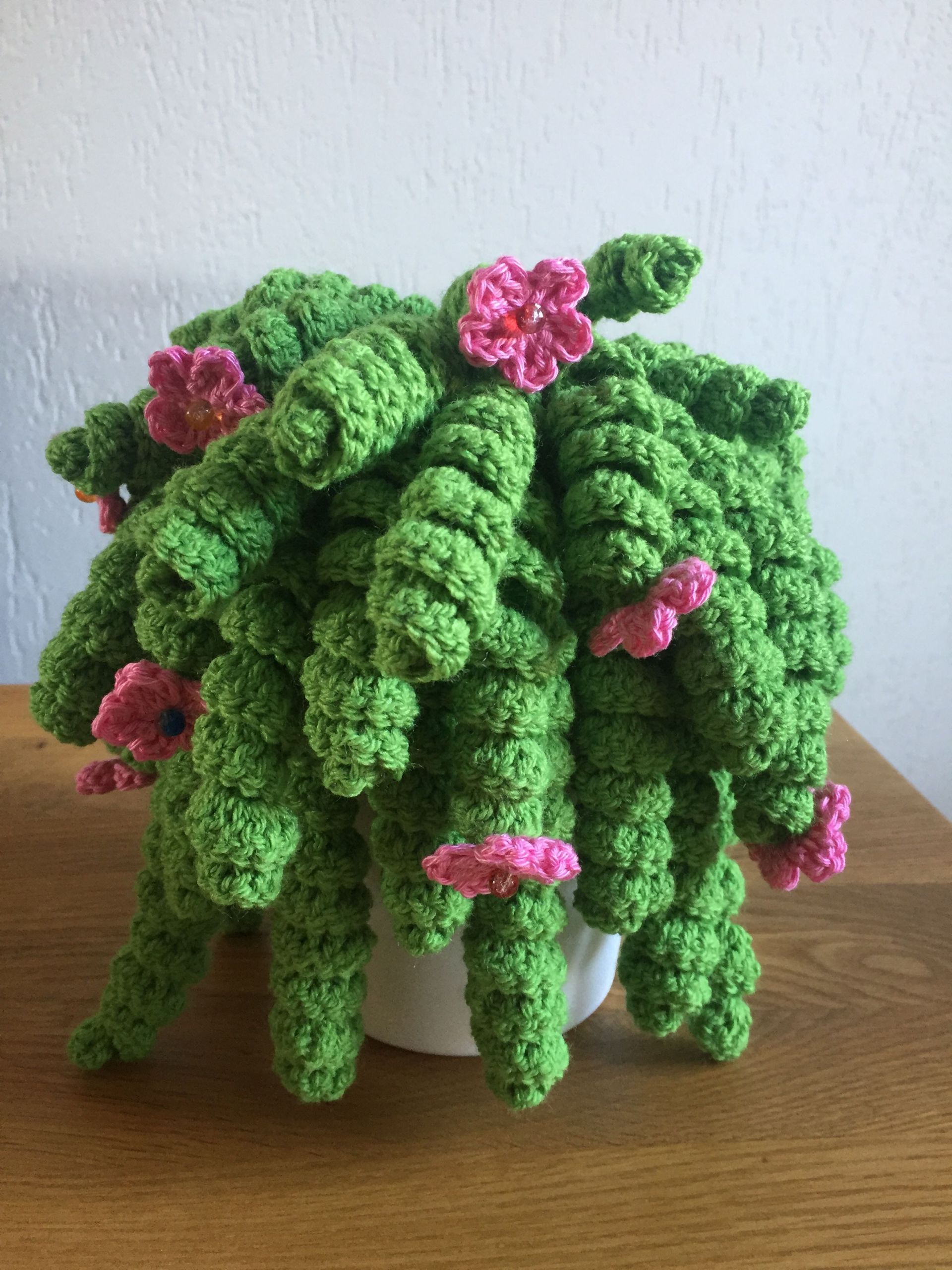 Crochet Plant Pattern Free Lovely Plant Crochet Pattern Free Printable Templates Free