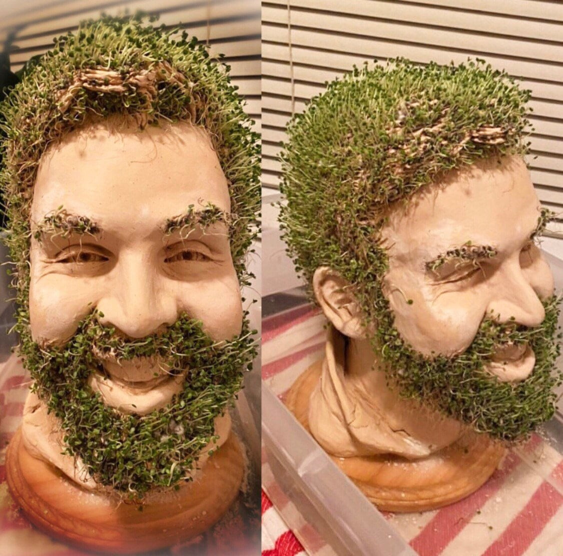 Custom Chia Pet New Custom Chia Pet Bust