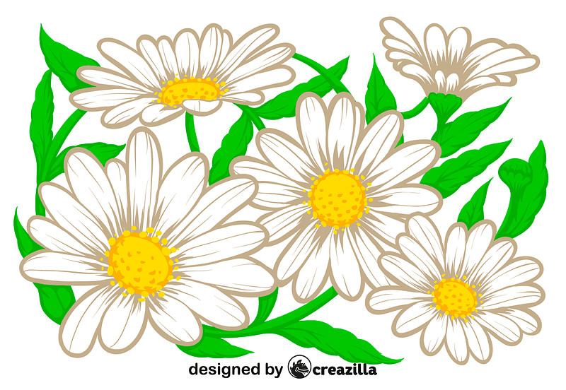 Daisy Flower Vector Awesome Daisy Flower Vector Free