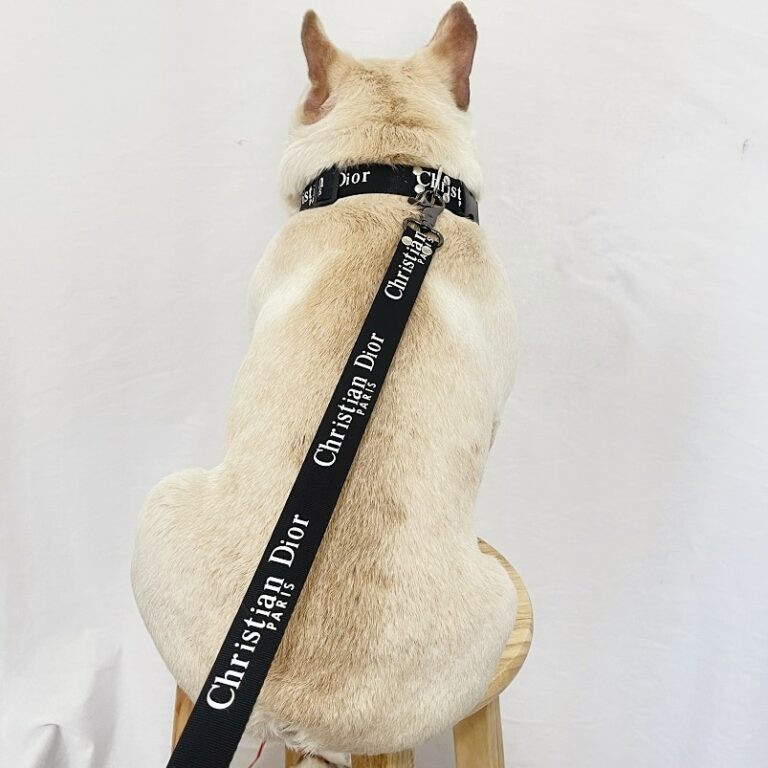 Dior Dog Harness Beautiful Christian Dior Dog Collar and Leash