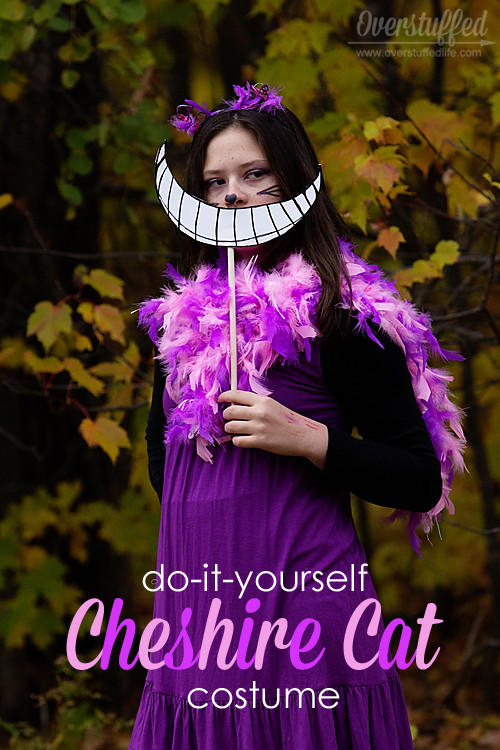 Diy Cheshire Cat Costumes Fresh Diy Cheshire Cat Costume Overstuffed