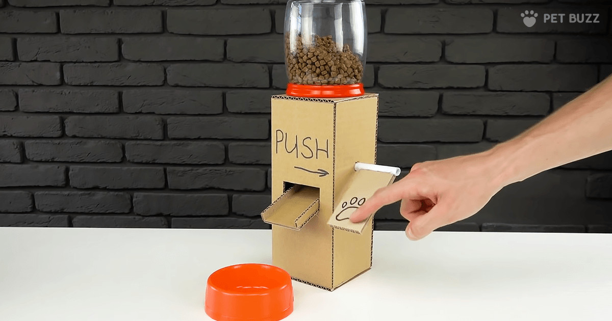 Diy Dog Food Dispenser Luxury Homemade Dog Food Dispenser Pet and Animal Blog