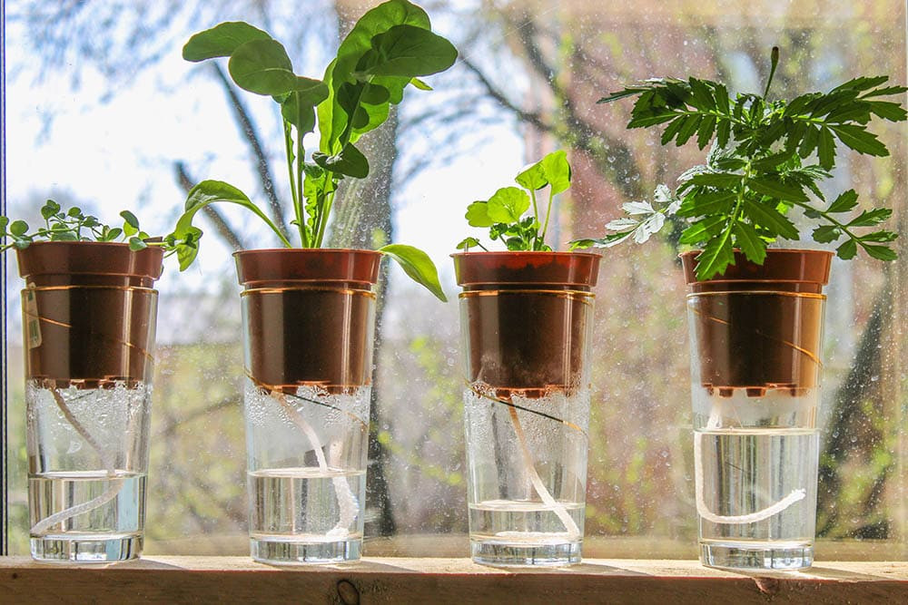 Diy Self Watering Fresh 13 Diy Self Watering Planter Plans You Can Make today with