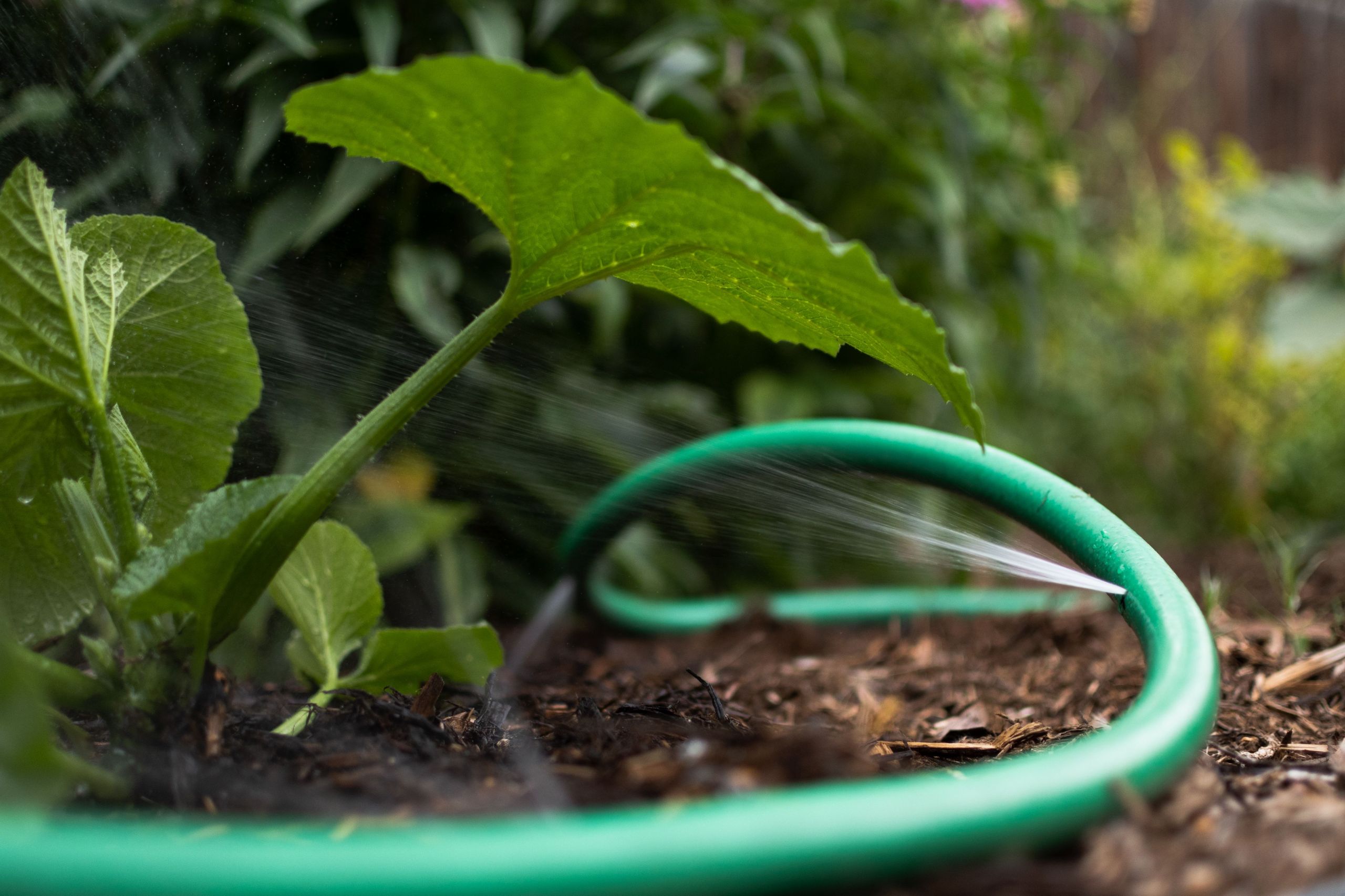 Diy soaker Hose Beautiful How to Make A soaker Hose Out Of An Old Garden Hose