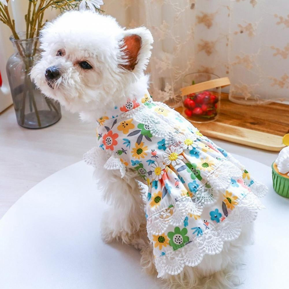 Dog Clothes for Little Dogs Best Of Taykoo Dog Dress Cute Floral Lace for Small Dogs Girl Summer Pet