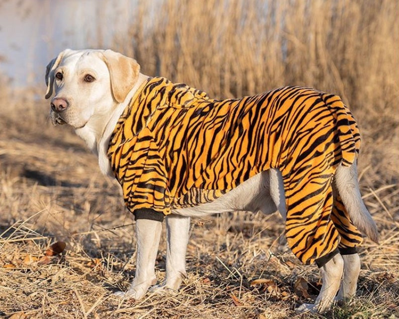 Dog In Tiger Costume Fresh Tiger Dog Costumes for Halloween Pet Halloween Costume Dog