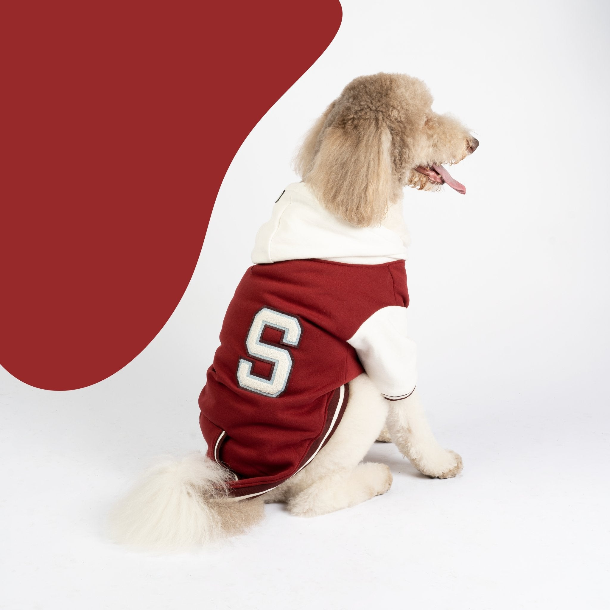 Dog Letterman Jacket Inspirational Otis Dog Letterman Jacket – Silver Paw