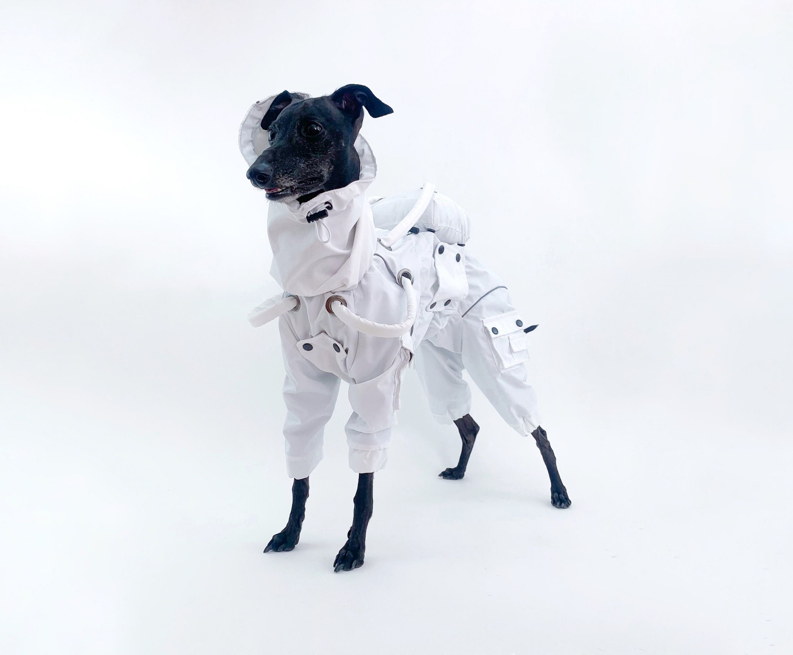 Dog Space Costume Unique astronaut Dog Costume Spaceman Halloween Costume Body Suit Etsy