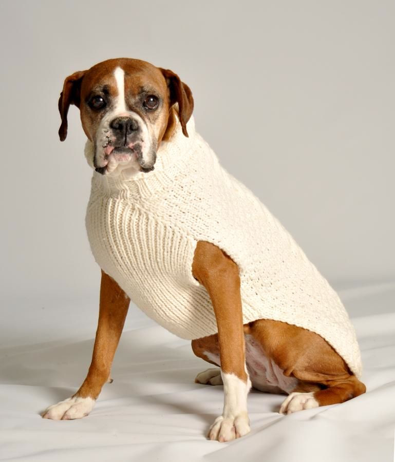 Dog Sweater Nearby Elegant Sweaters Aran Cable Knit Dog Sweater Irish Crossroads