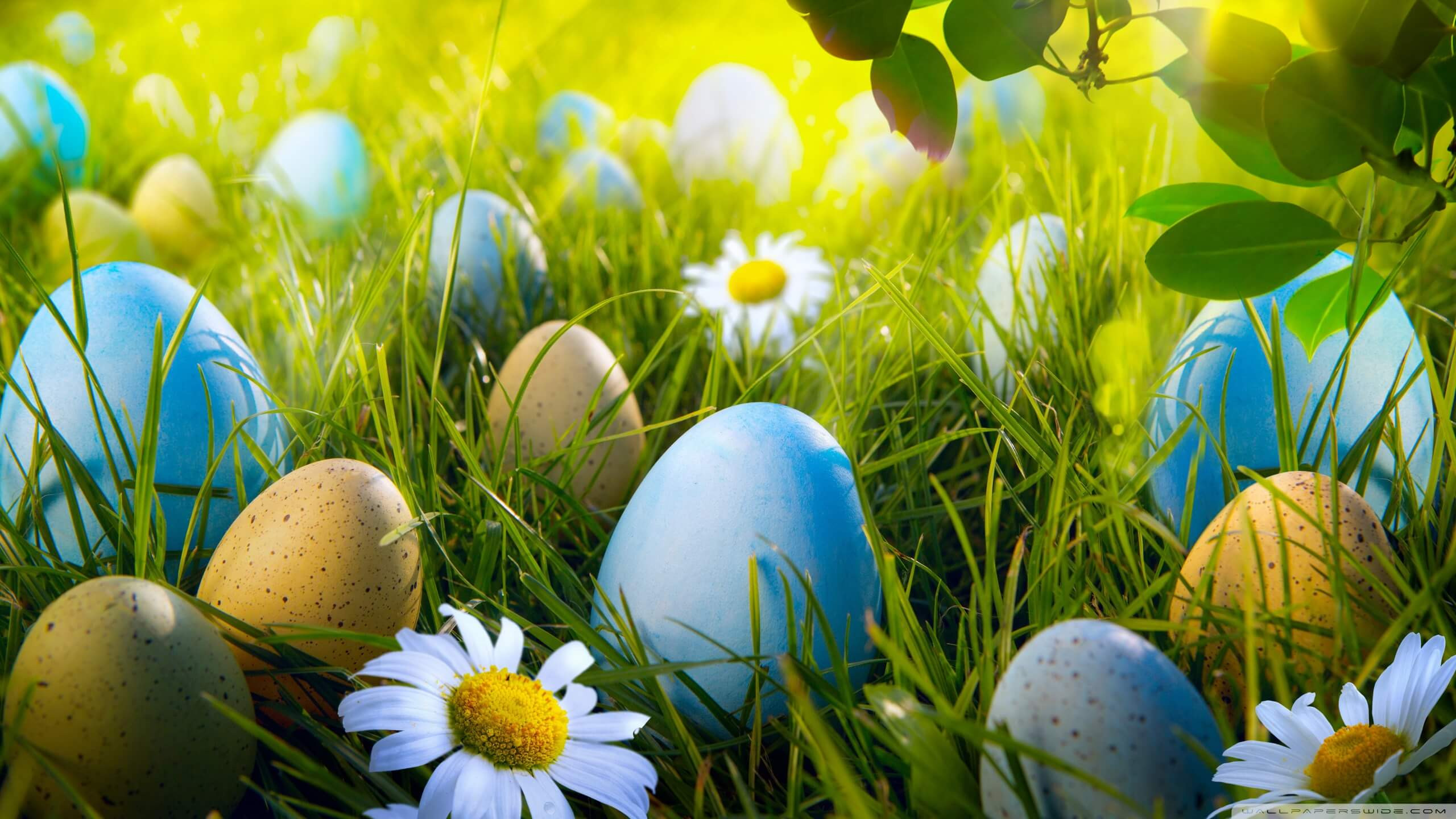 Easter Desktop Backgrounds New Easter Backgrounds Collection Free