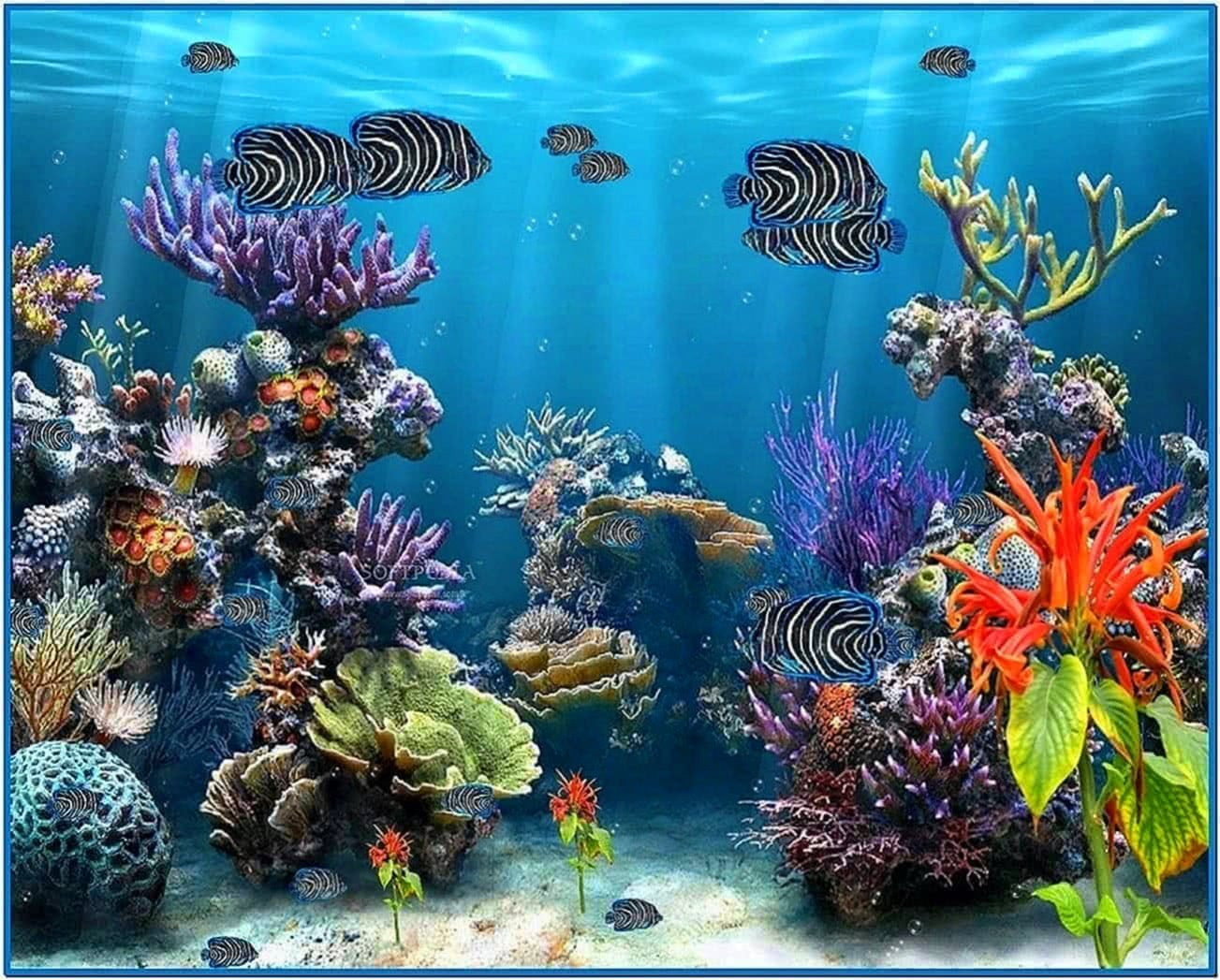 Fish Tank Screensaver Luxury Fish Tank Screensaver Full Version Download Free