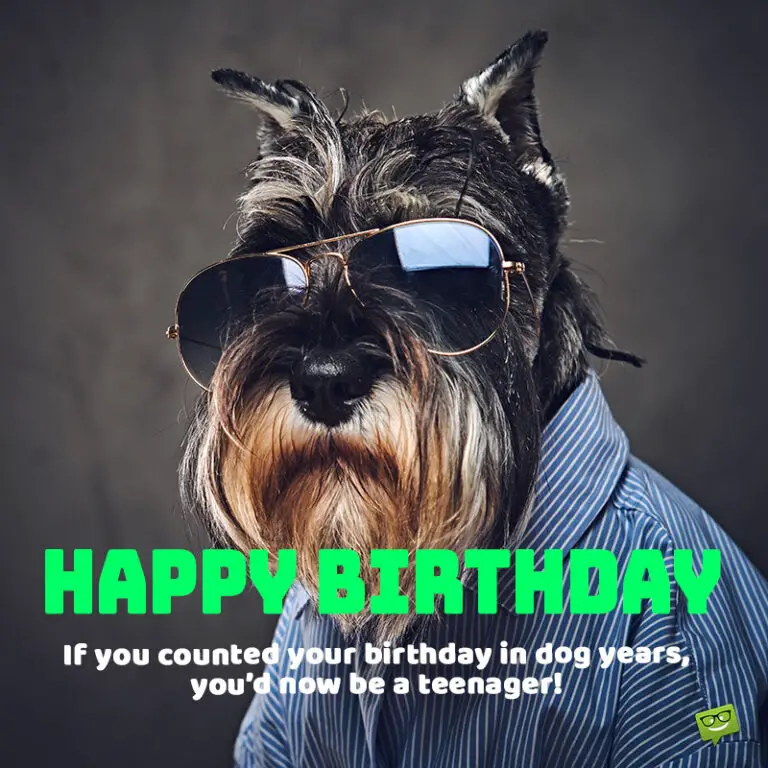 Funny Happy Birthday Quotes Awesome Huge List Of 180 Funny Birthday Wishes for Extra Bday Laughs