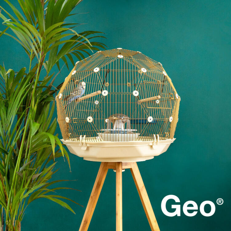 Geo Bird Cage Luxury Geo Bird Cage the Beautiful Geodesic Budgie Cage