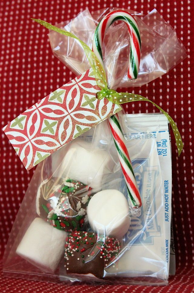 Goodie Bags for Christmas Ideas Fresh 20 Christmas Goo Bag Ideas for Coworkers Homyhomee