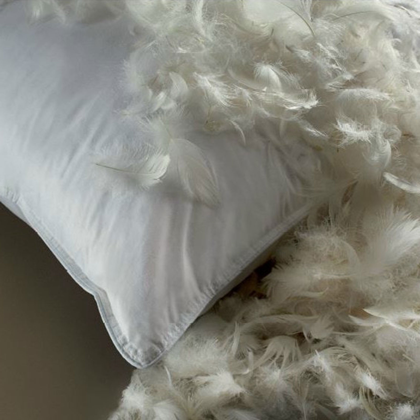 Goose Feather Pillows Awesome Nimbus softened Goose Feather Pillow Pair Slumbertime