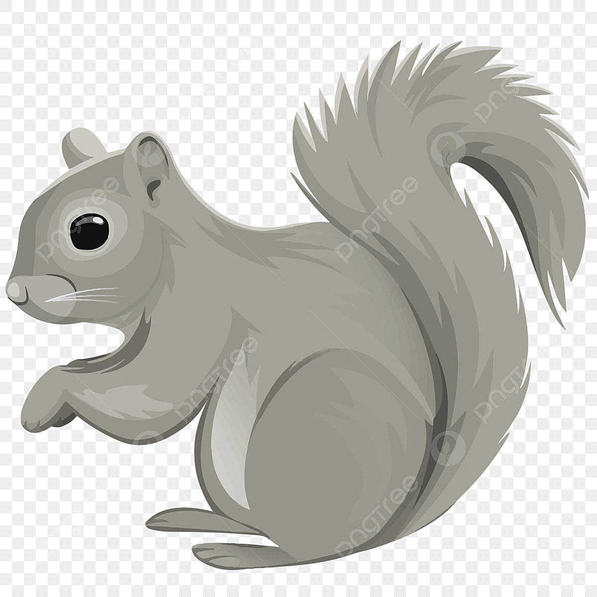 Gray Squirrel Clipart Lovely Cute Squirrel White Transparent Cute Little Grey Squirrel Small