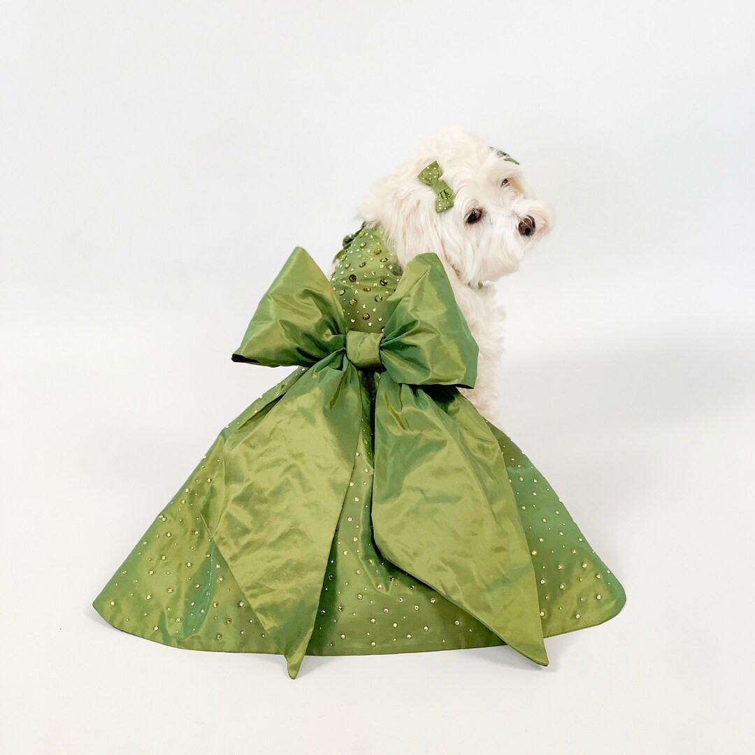 Green Dog Dress Beautiful Green Dog Dress Dog Wedding Dress Dog Outfit Puppy Dress Etsy