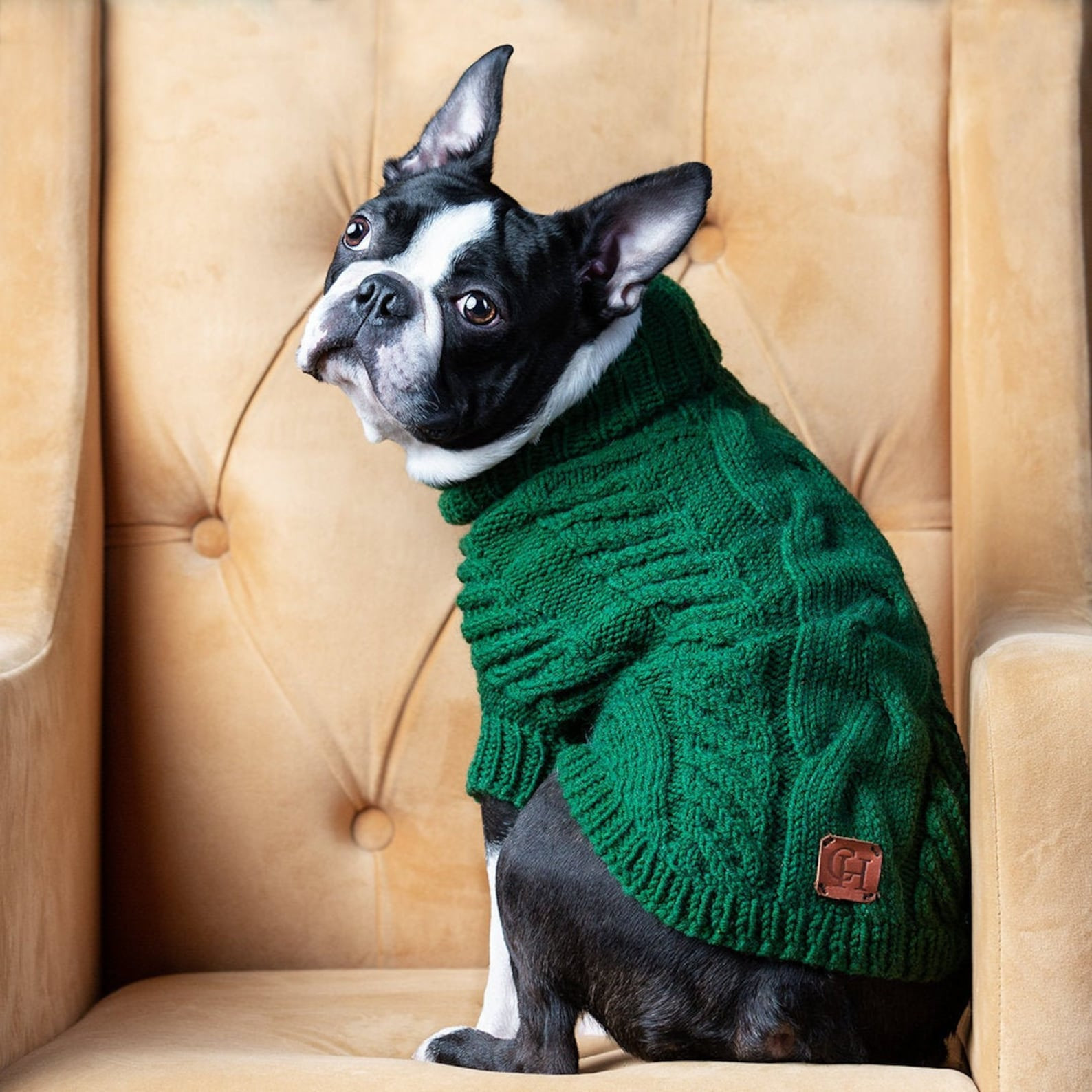 Green Dog Sweater New Green Dog Sweater Wool Pet Sweater Handmade Dog Sweater