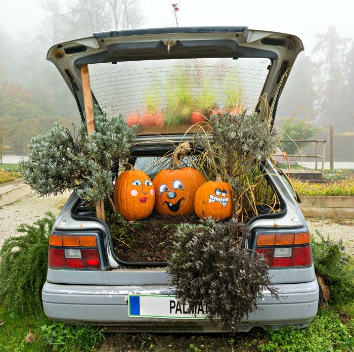 Halloween Car Decorations Lovely Halloween Car Decorations Decorate A Car for Halloween