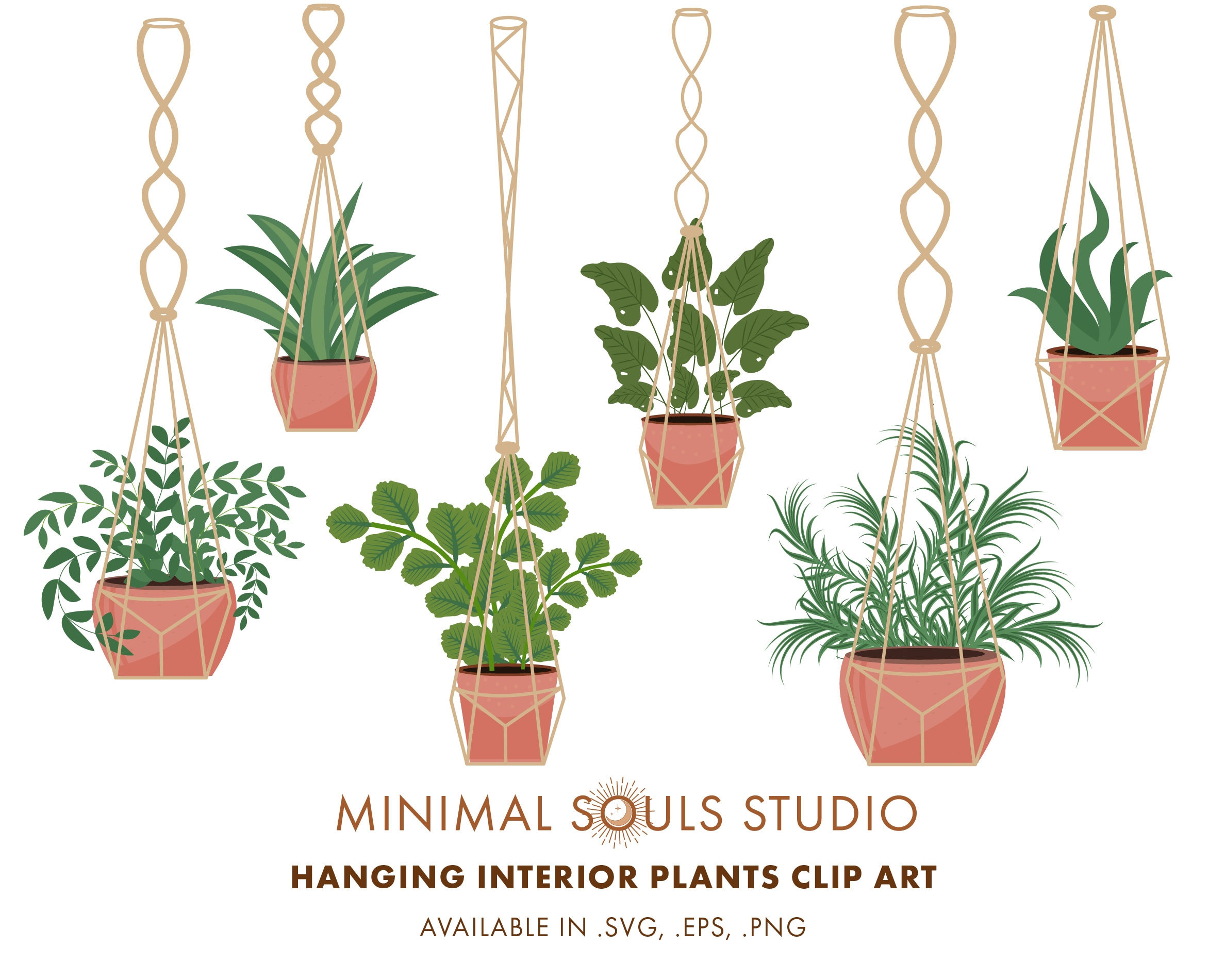 Hanging Plants Clipart Luxury Set Of 6 Hanging Indoor Plants Clipart Vectors Icons Eps Instant