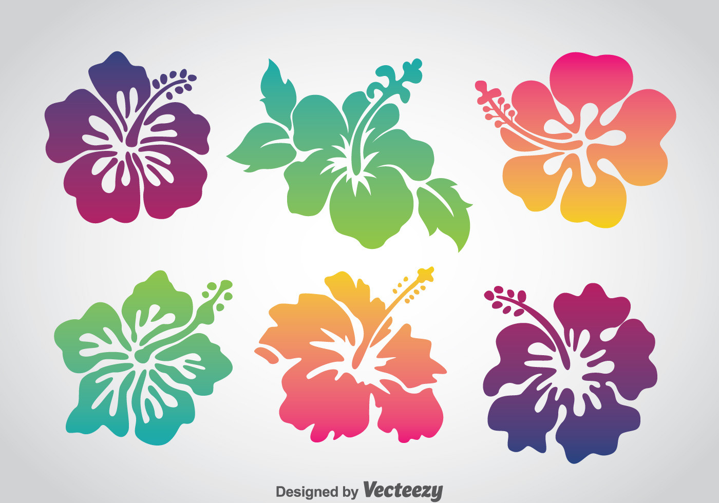 Hawaiian Flowers Vector Unique Colorful Hawaii Flower Vector Set Vector Art at Vecteezy