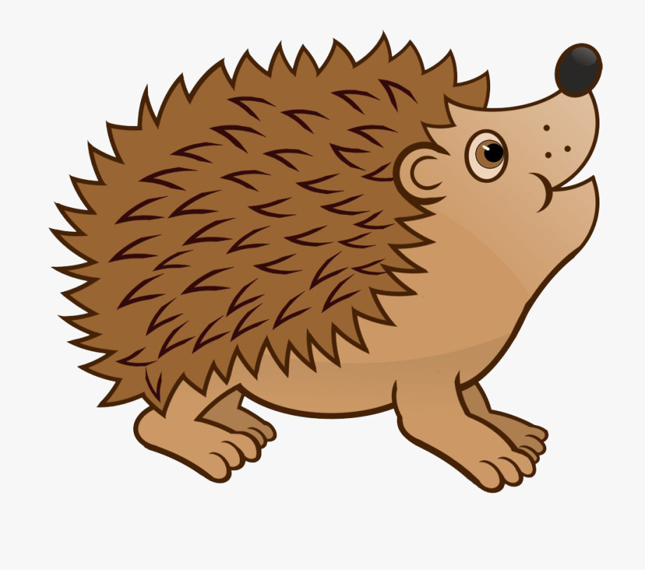 Hedgehog Clip Art Beautiful Free Hedgehog Cliparts Download Free Hedgehog Cliparts Png Images