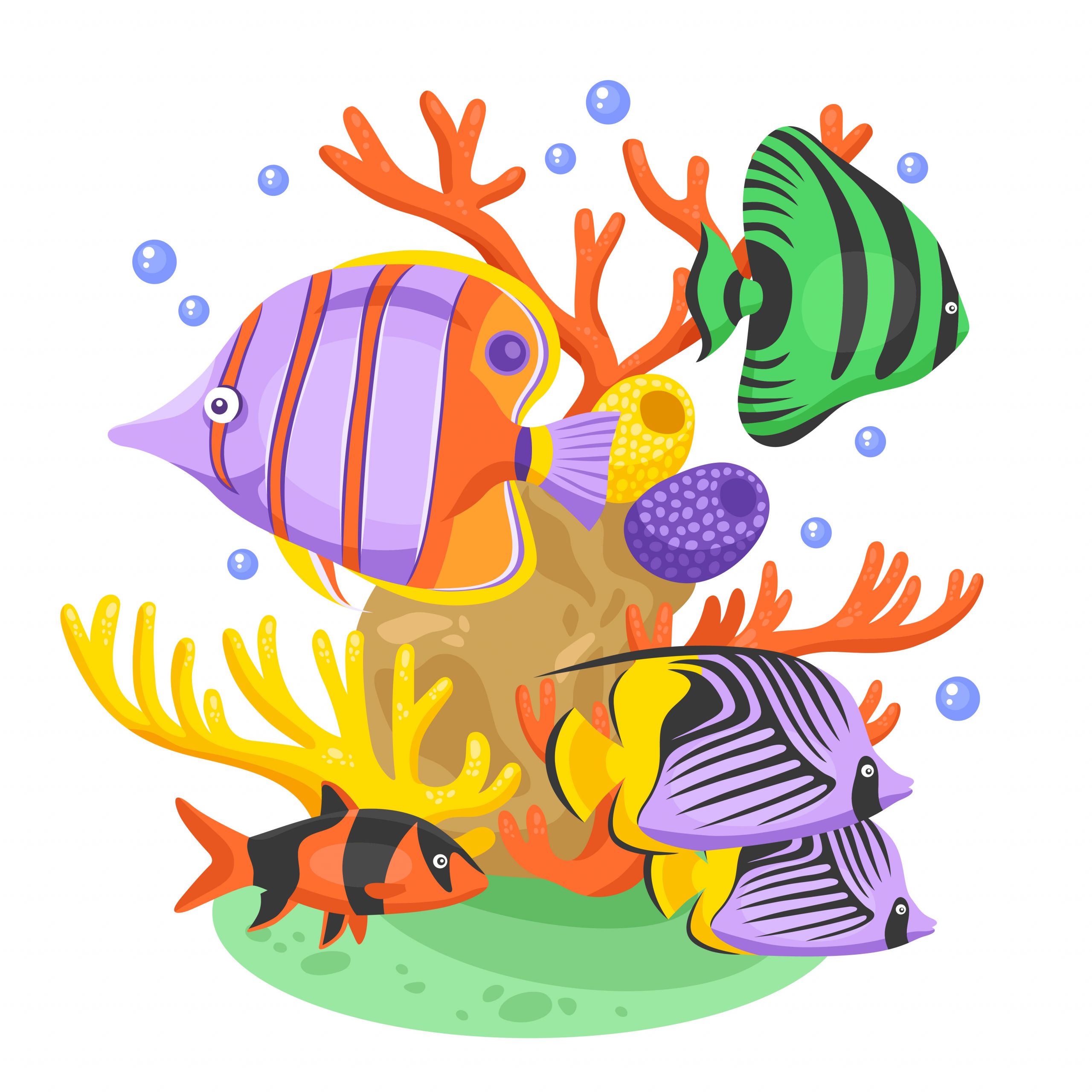 Illustration Of A Fish Fresh Exotic Tropical Fish Illustration Vector Art at Vecteezy