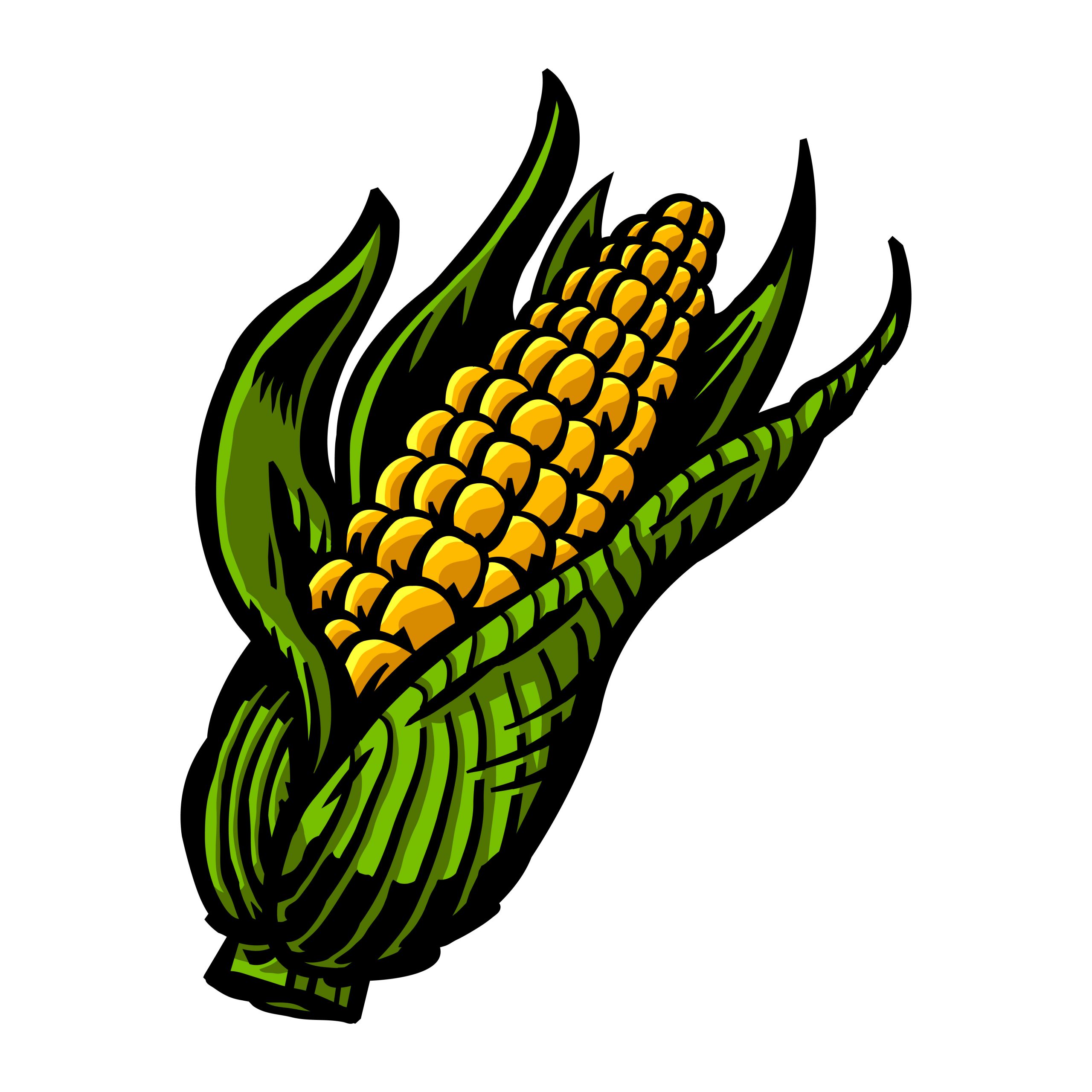 Illustration Of Corn Best Of Corn Vector Art at Vecteezy