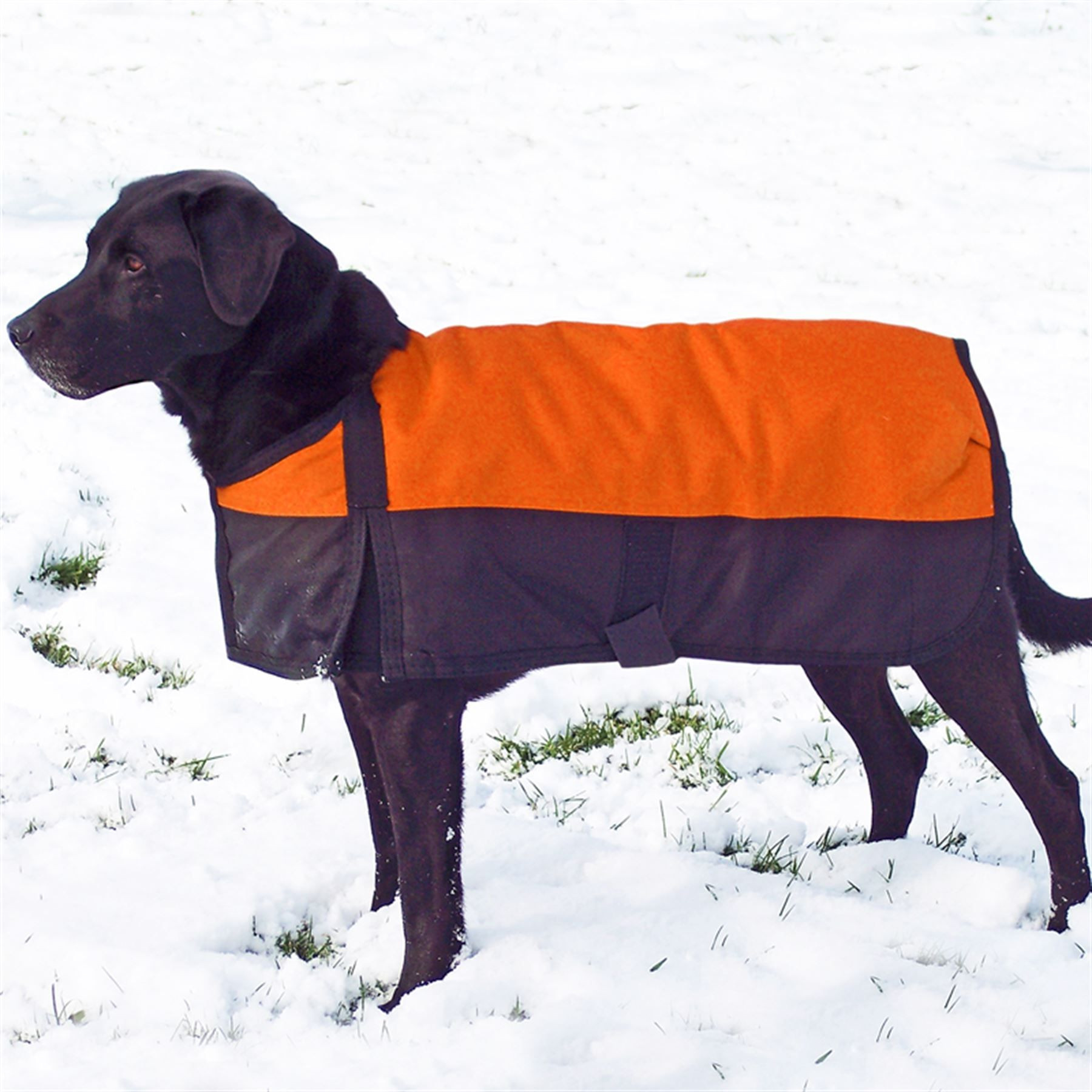 Insulated Dog Coat Beautiful Dura Tech Insulated Waterproof Dog Coat Xxl