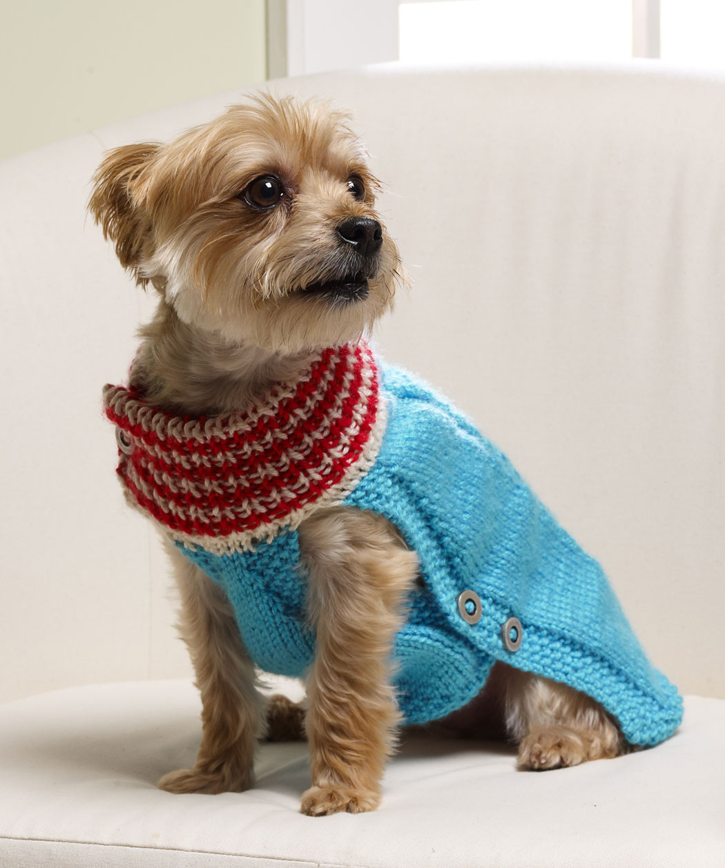 Knit Sweater Dog Fresh Dog Sweater Knitting Pattern