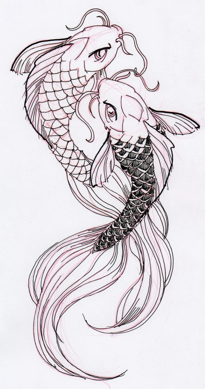 Koi Fish Line Drawings New Koi Fish Line Drawing at Paintingvalley