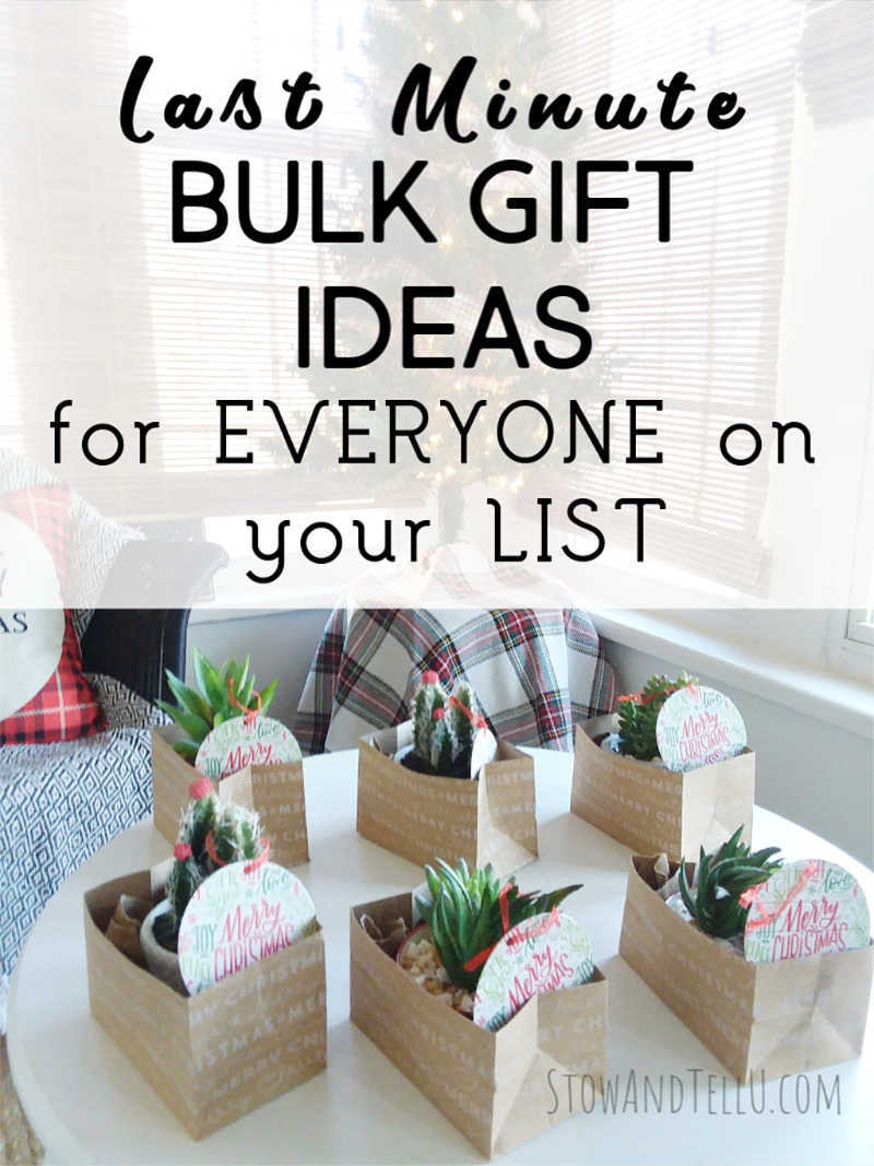 Last Minute Gift Ideas for Coworkers Elegant 27 Last Minute Useful Bulk Gift Ideas for Everyone On the List