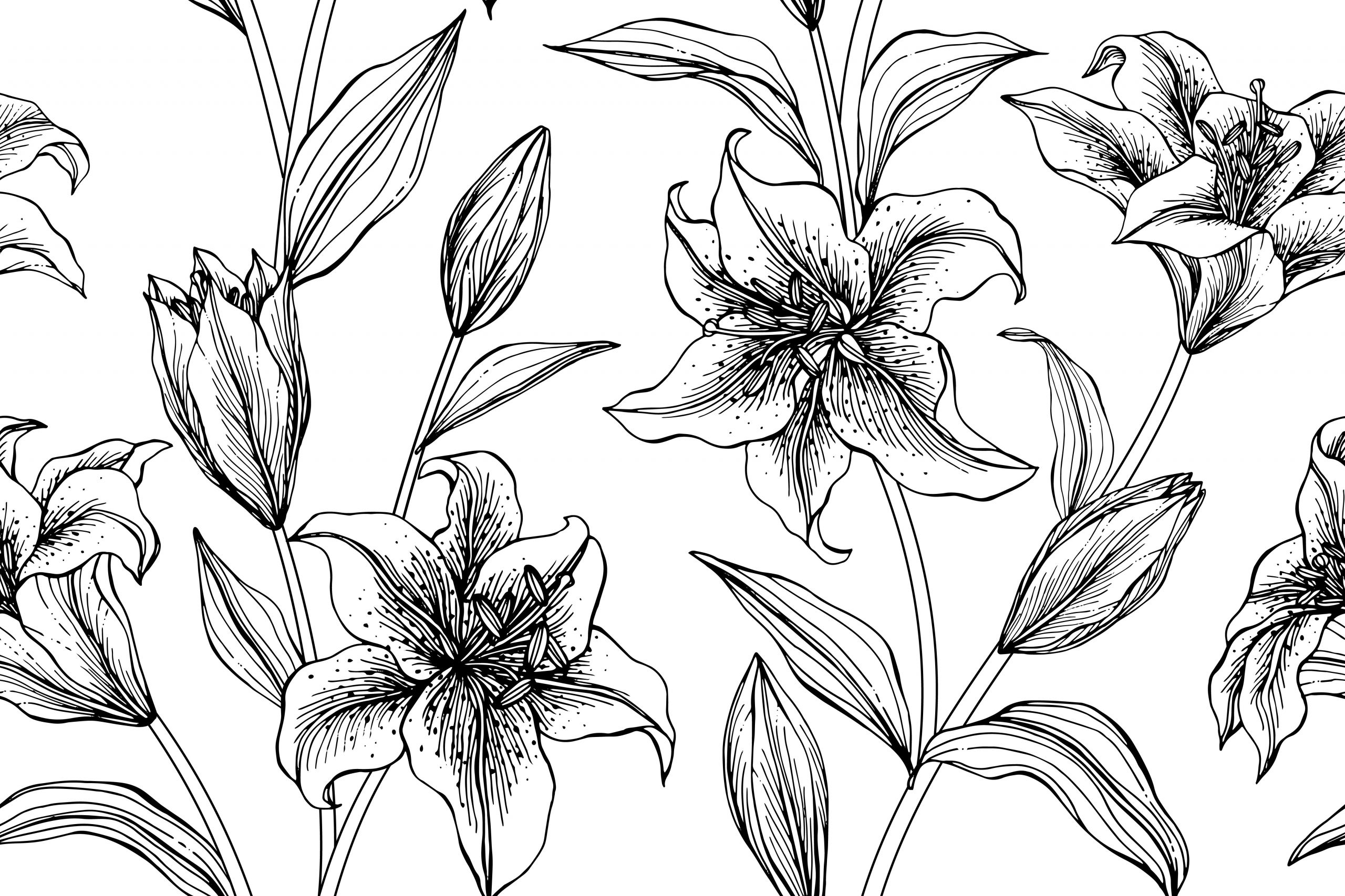 Lily Vector Art Luxury Lily Hand Drawn Botanical Seamless Pattern Vector Art at Vecteezy