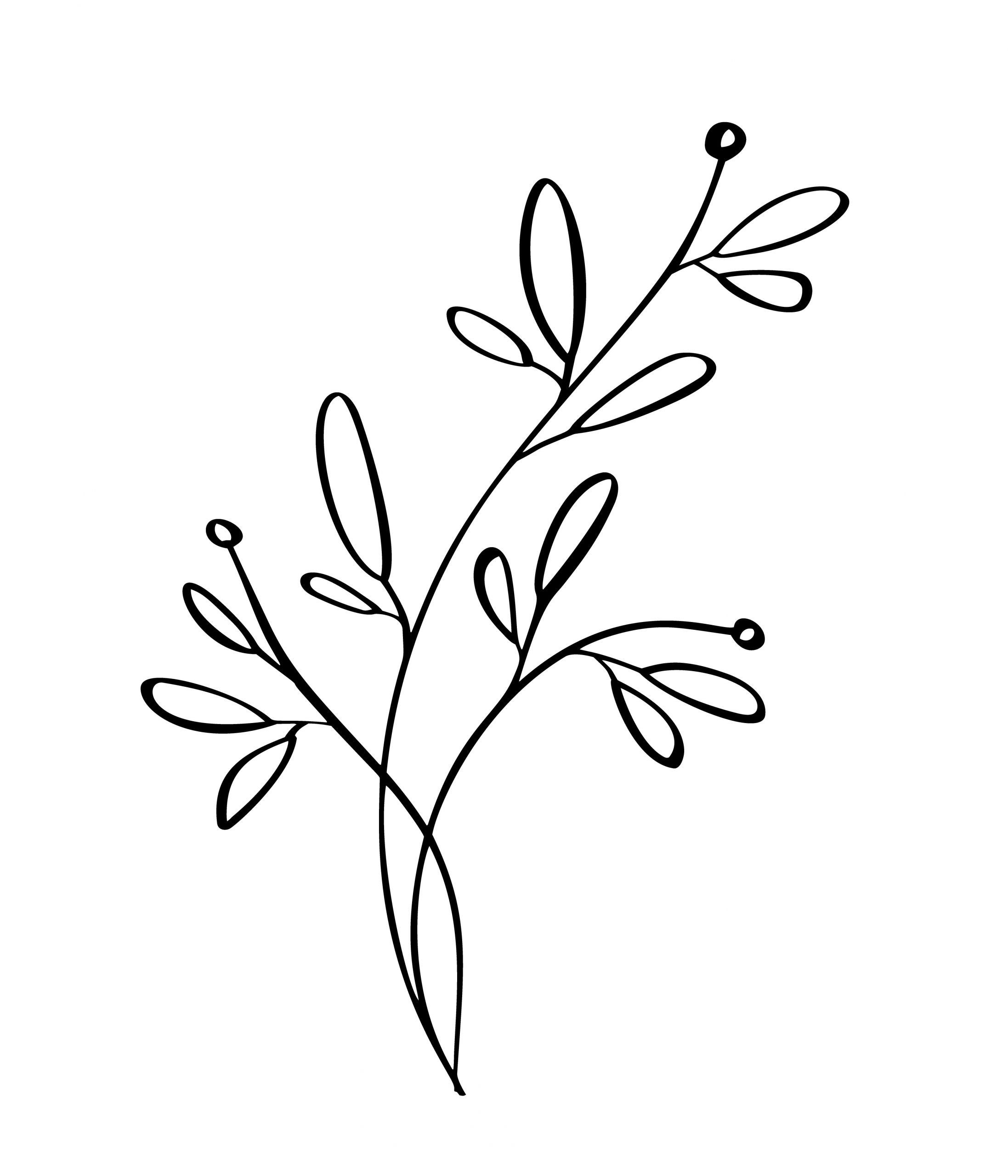 Line Art Flower Design Unique Hand Drawn Modern Flowers Drawing and Sketch Floral with Line Art