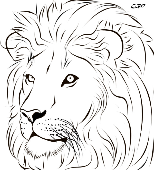 Line Drawing Lion Best Of Lion Line Drawing at Paintingvalley