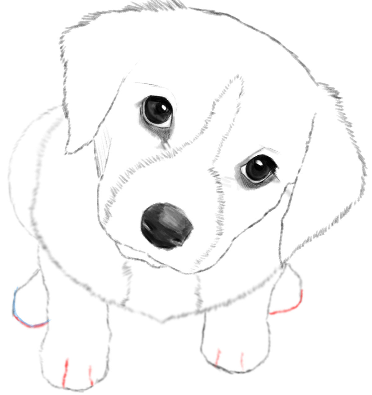 Line Drawing Puppy New Puppy Drawing