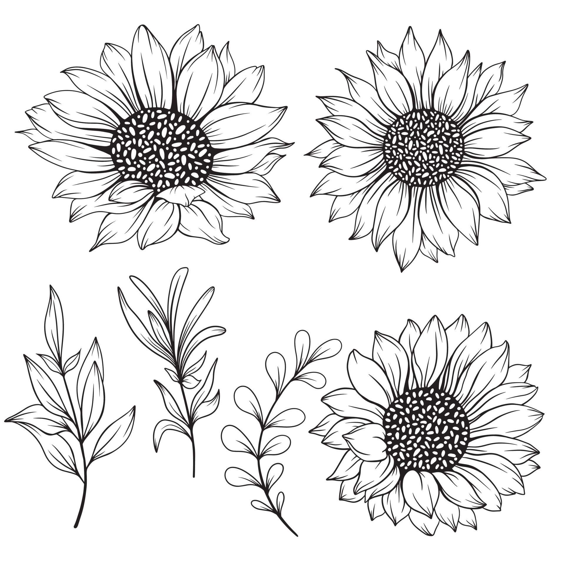 Line Drawing Sunflower Lovely Sunflower Line Art Sunflower Line Drawing Floral Line Drawing