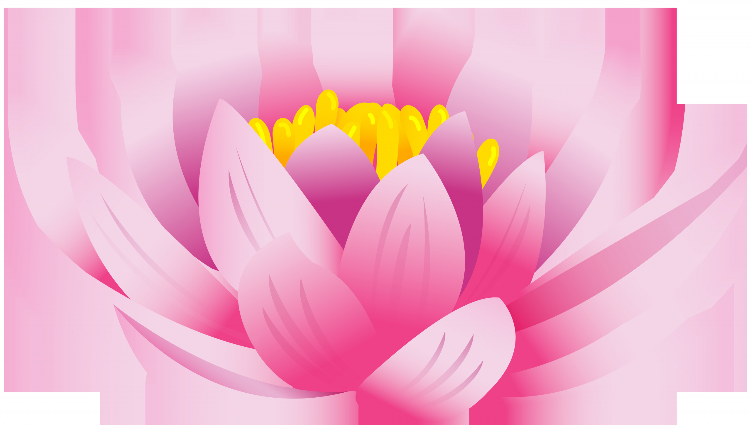 Lotus Flower Free Clip Art Beautiful Lotus Flower Clip Art Free 10 Free Cliparts