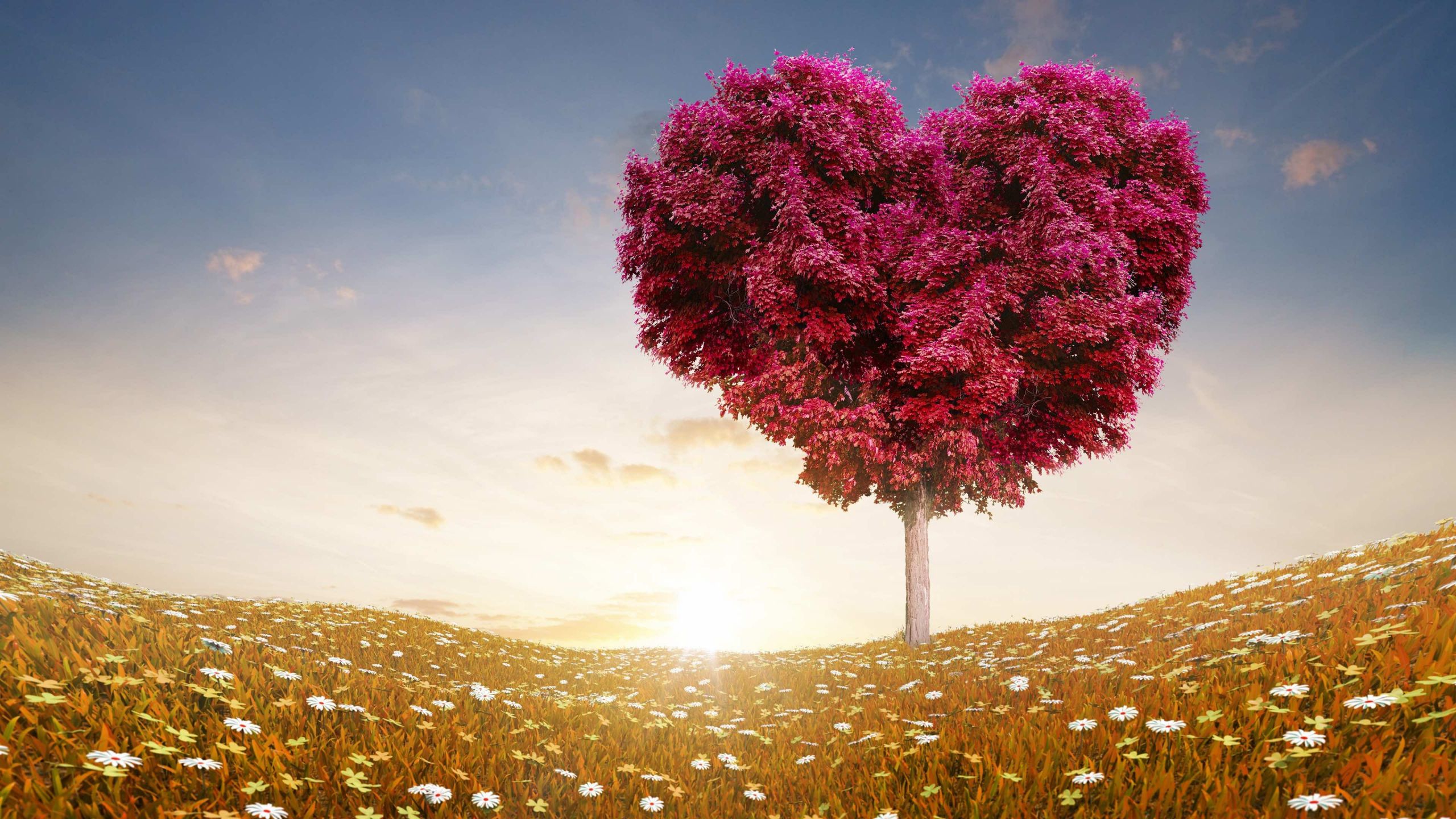 Love Images Wallpaper Awesome 56 Love Wallpaper Backgrounds that Your Desktop Will Make You Feel Amazing