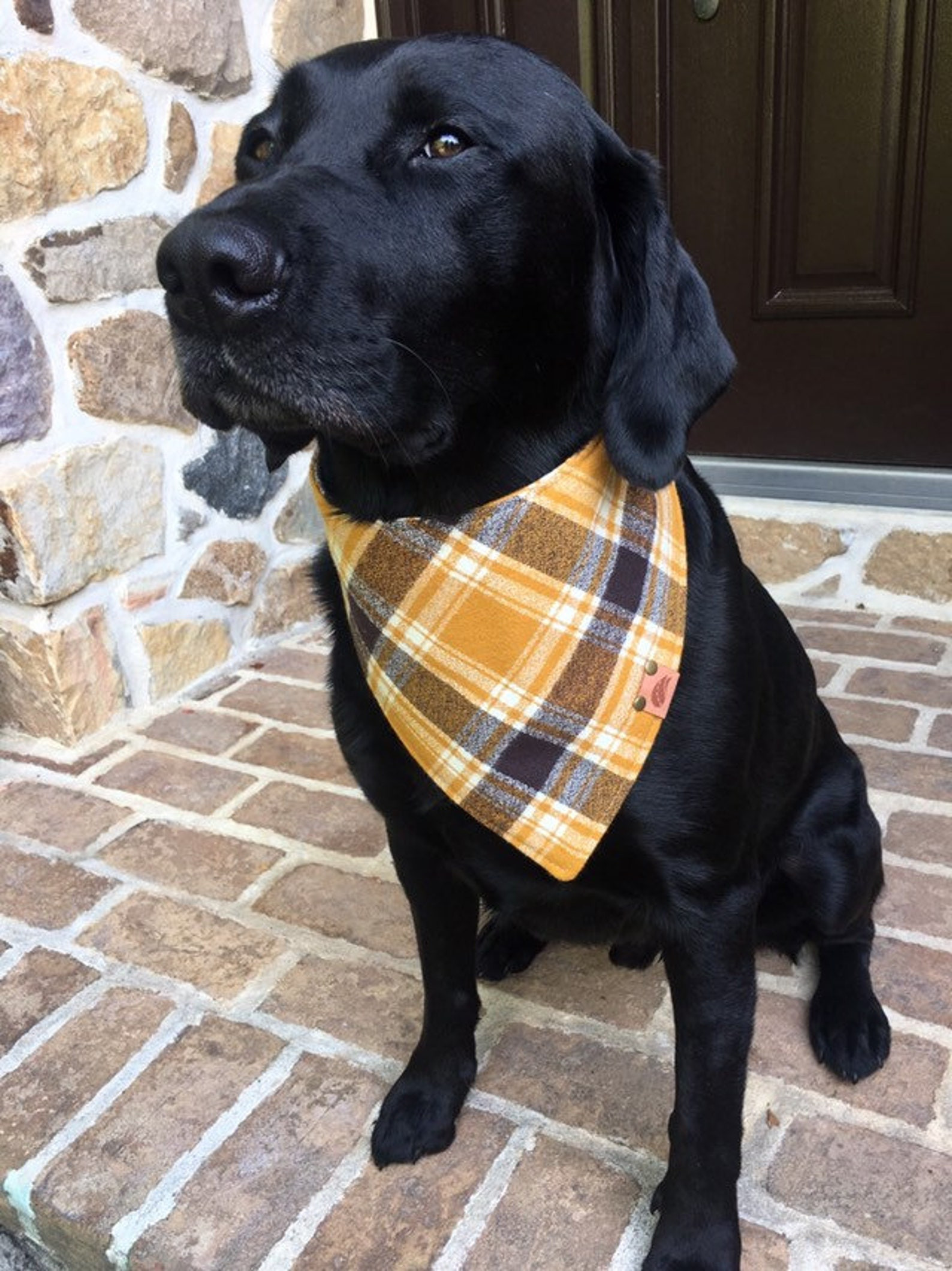 Monogrammed Dog Scarf Fresh Dog Scarf Fall Bandana Dog Plaid Dog Bandana Monogrammed Dog Etsy