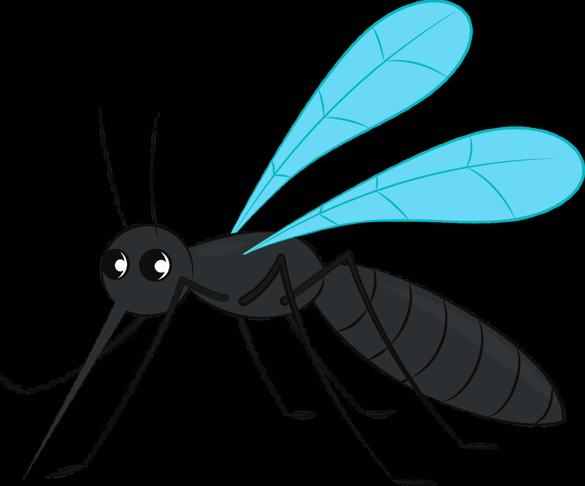 Mosquito Clip Art Luxury Mosquito Clipart