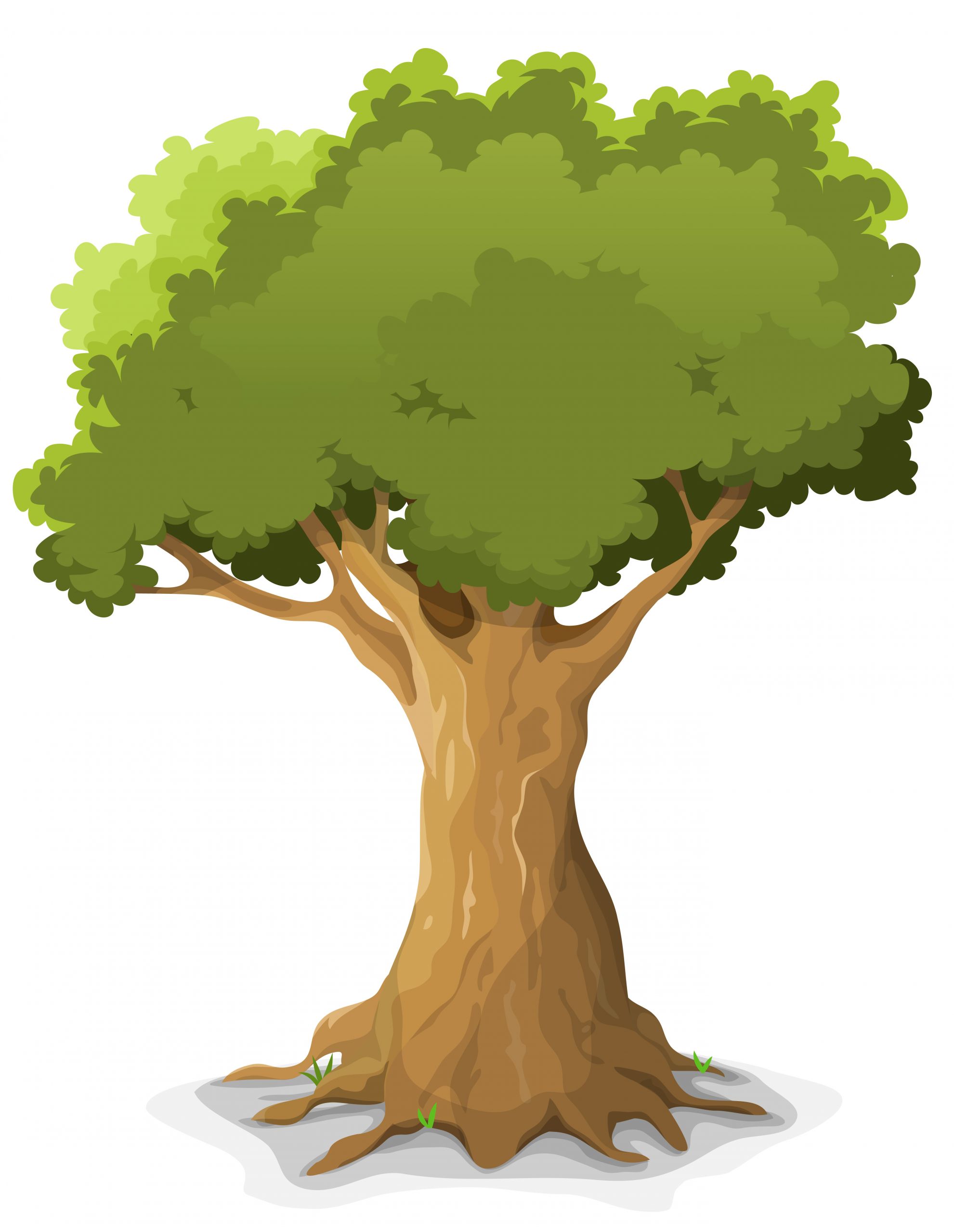 Oak Tree Vector Art Best Of Spring Oak Tree Vector Art at Vecteezy