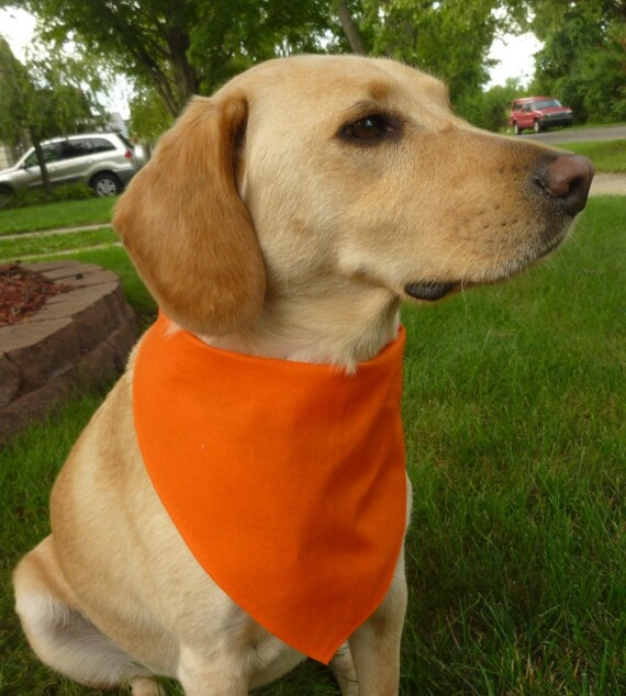 Orange Dog Bandana Awesome Hunter orange Dog Bandana with Velcro Closure by Ericaburris