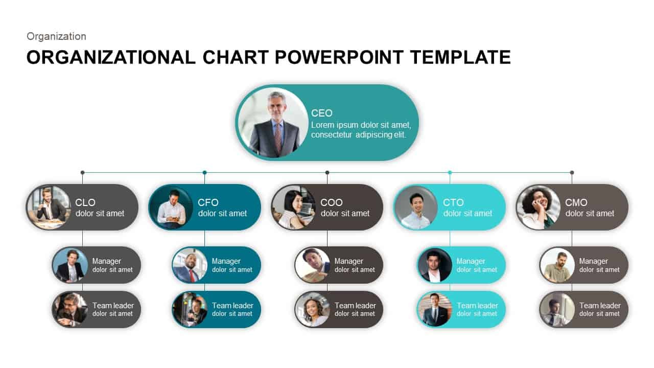 Organizational Chart Template Ppt Fresh organizational Chart Powerpoint Template &amp; Keynote Slidebazaar