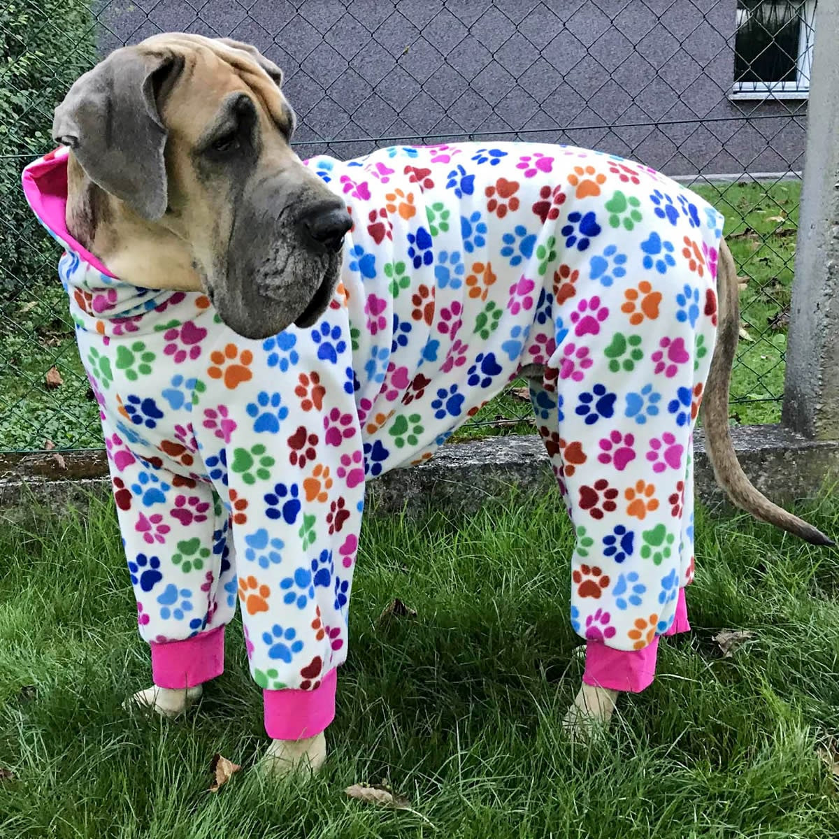 Pajamas for Great Danes Beautiful Great Dane Pajamas with A Zipper Pdf Sewing Pattern Fancypetpatts