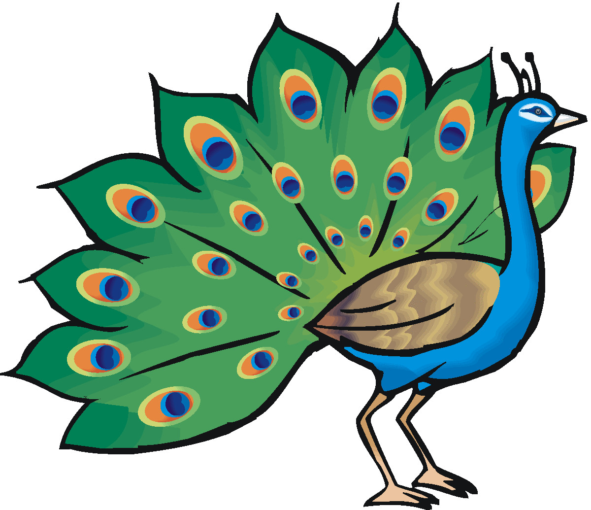 Peacock Clip Art Awesome Free Peacock Clipart