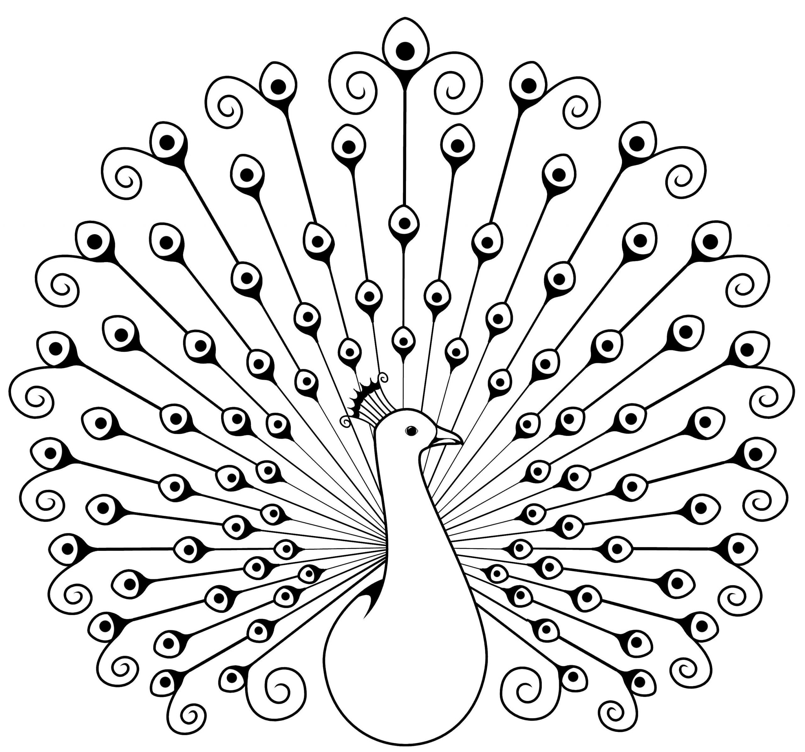 Peacock Clipart Black and White Best Of Peacock Clipart Black and White Peacock Black and White Transparent