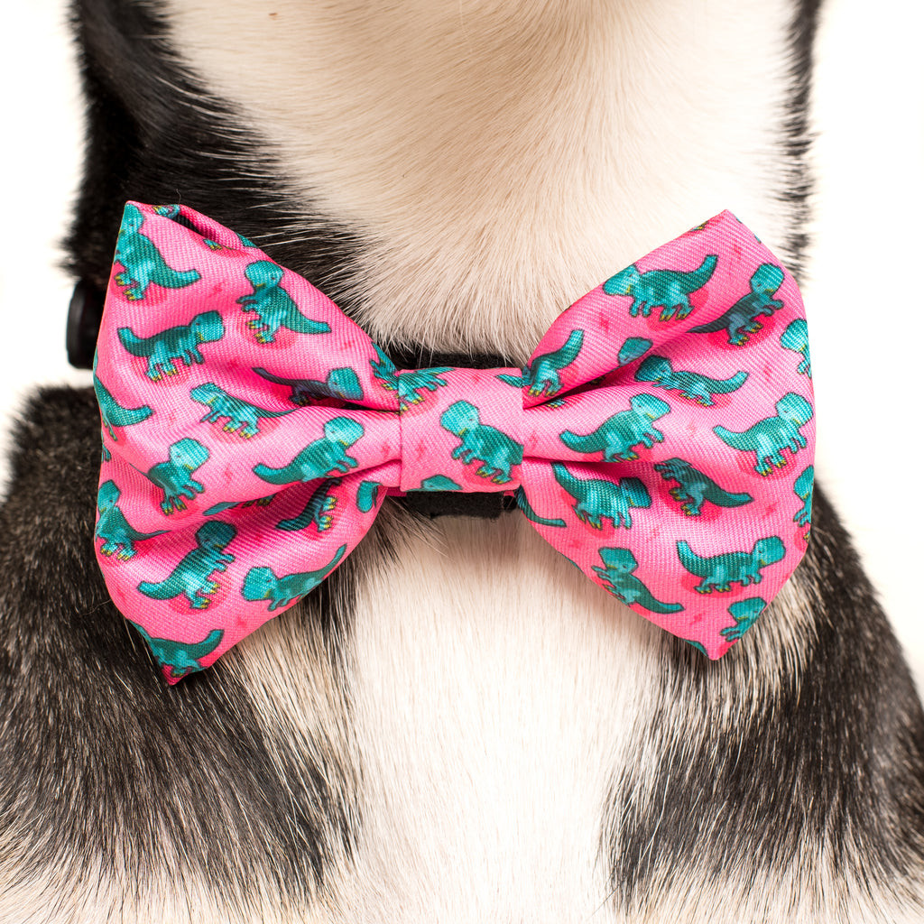 Pet Bow Tie Beautiful Designer Dog Collar &amp; Bow Tie for Big &amp; Small Dogs