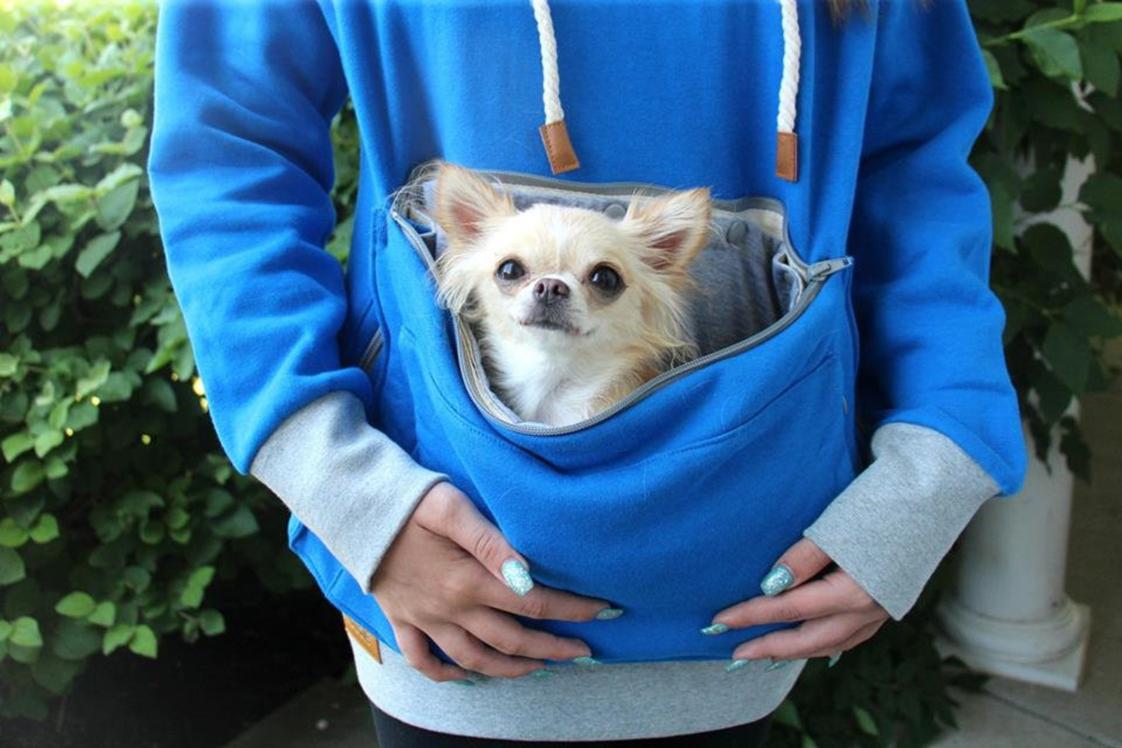 Pet Pouch Hoodie Best Of Roo Pet Pouch Hoo Cat Dog Small Pet Holder Cuddle